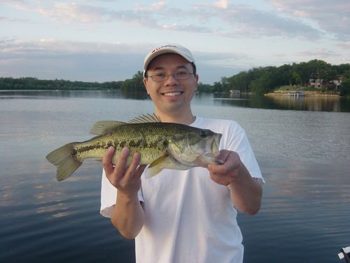 17" Largemouth Bass