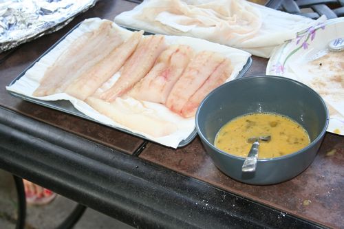 Egg washed walleye ready for batter