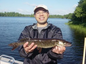 18" northern pike