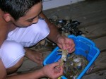 Tim with the ghost crabs Tim with the ghost crabs