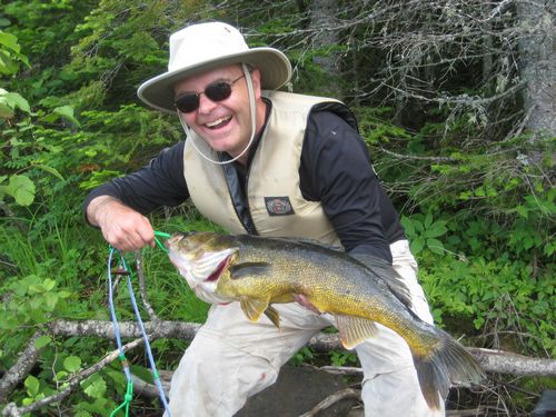 31" walleye