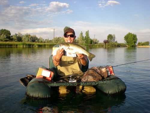 largemouth bass