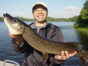 27" northern pike