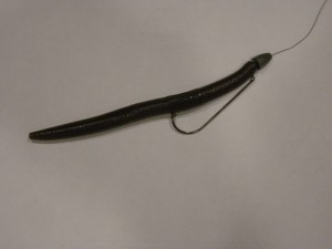 Texas rigged Slurpie plastic worm