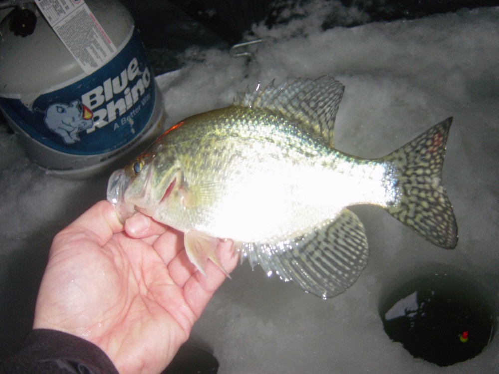 An Early Morning Panfish Adventure