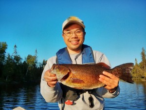 17" smallmouth bass