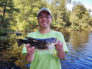 14.5" largemouth bass